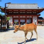 奈良県で人探し調査が可能な探偵事務所