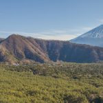 山梨県内で人探し調査が可能な探偵事務所・興信所まとめ